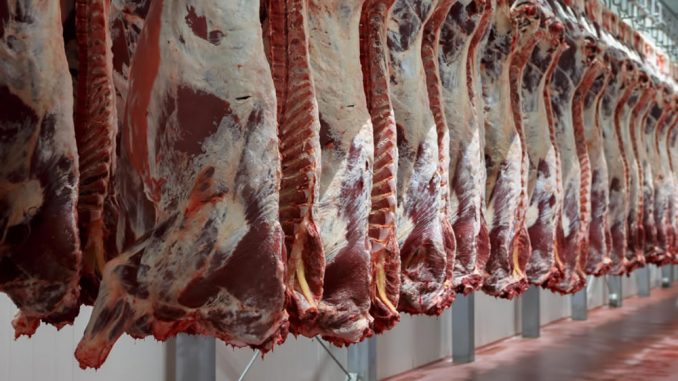 faena-bovina