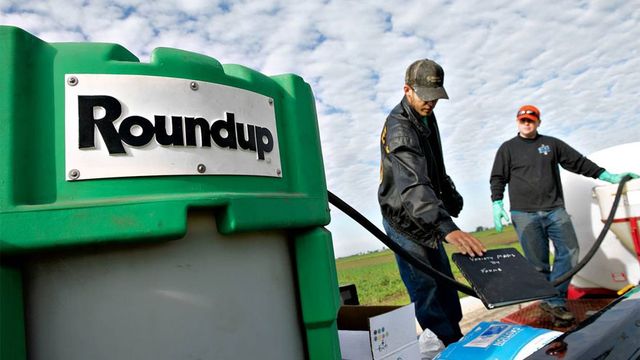 roundup