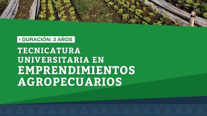 upsocarrera