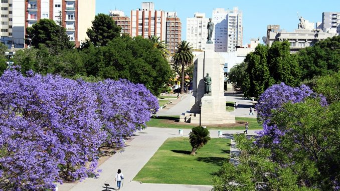 bahia blanca