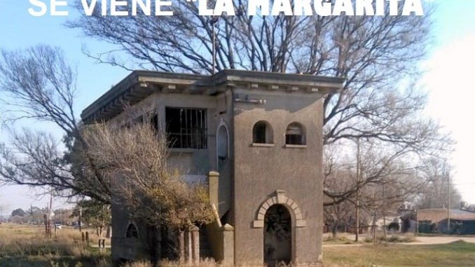 la margarita