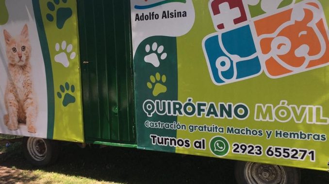 quirofano