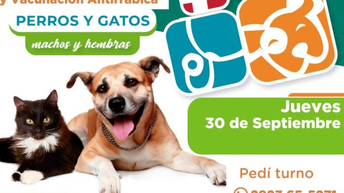 CASTRACION CARHUE