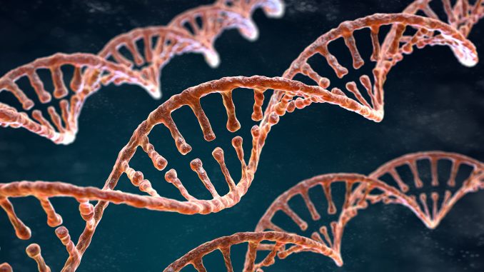 Spiral strands of DNA on the dark background