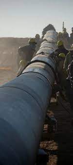images-11