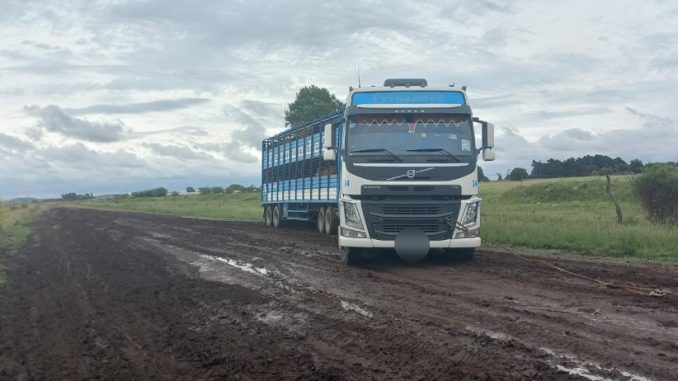 camion-camino-rural
